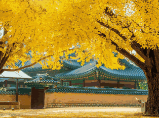 韩国外贸数据,外贸数据,凯发k8国际外贸数据 韩国外贸数据,外贸数据,凯发k8国际外贸数据