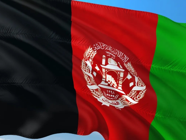 阿富汗海关数据查询平台（附免费试用查询）